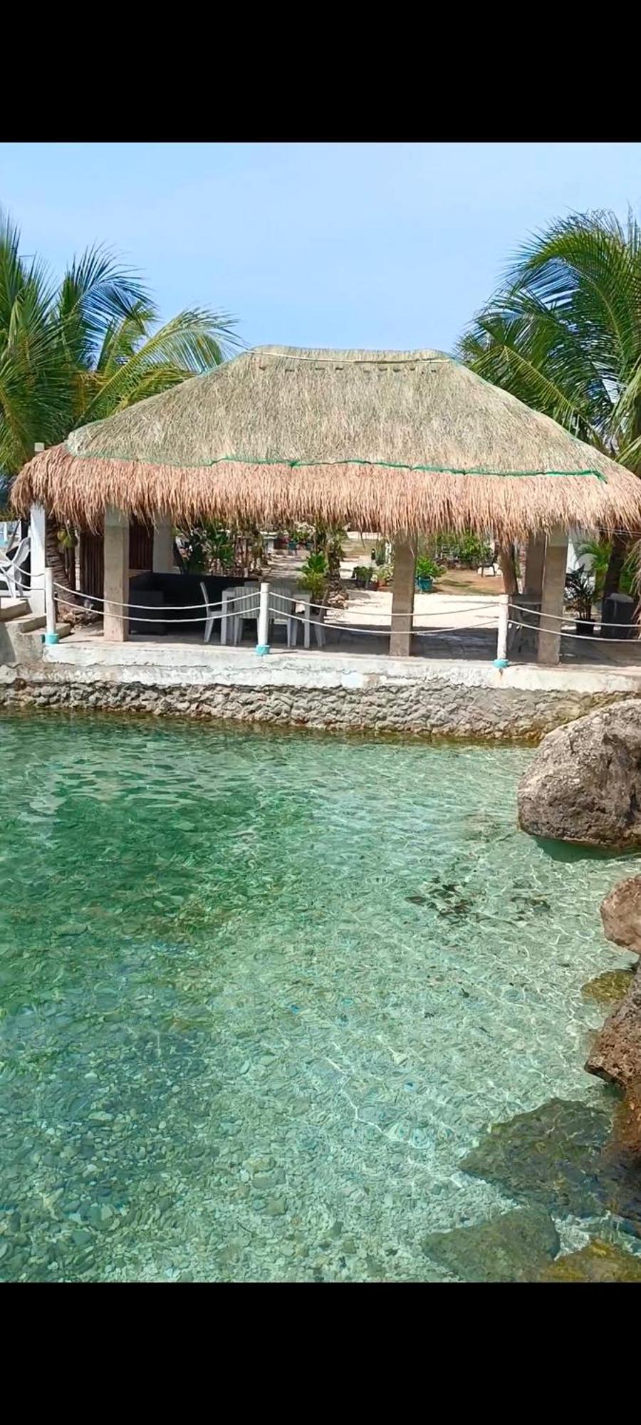 Seascape Beach Resort Oslob Exterior foto