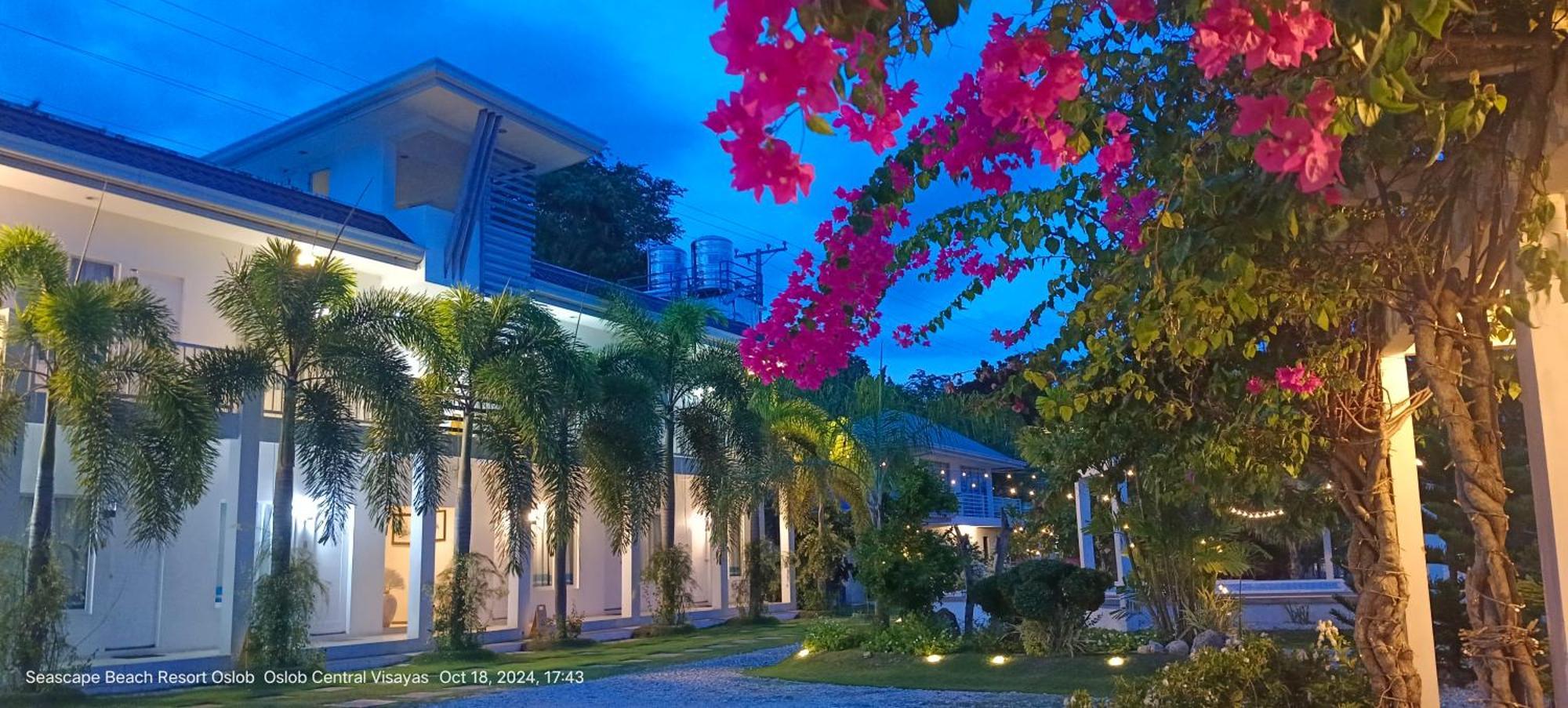 Seascape Beach Resort Oslob Exterior foto
