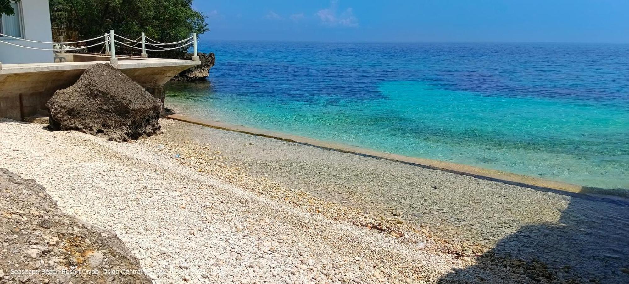 Seascape Beach Resort Oslob Exterior foto