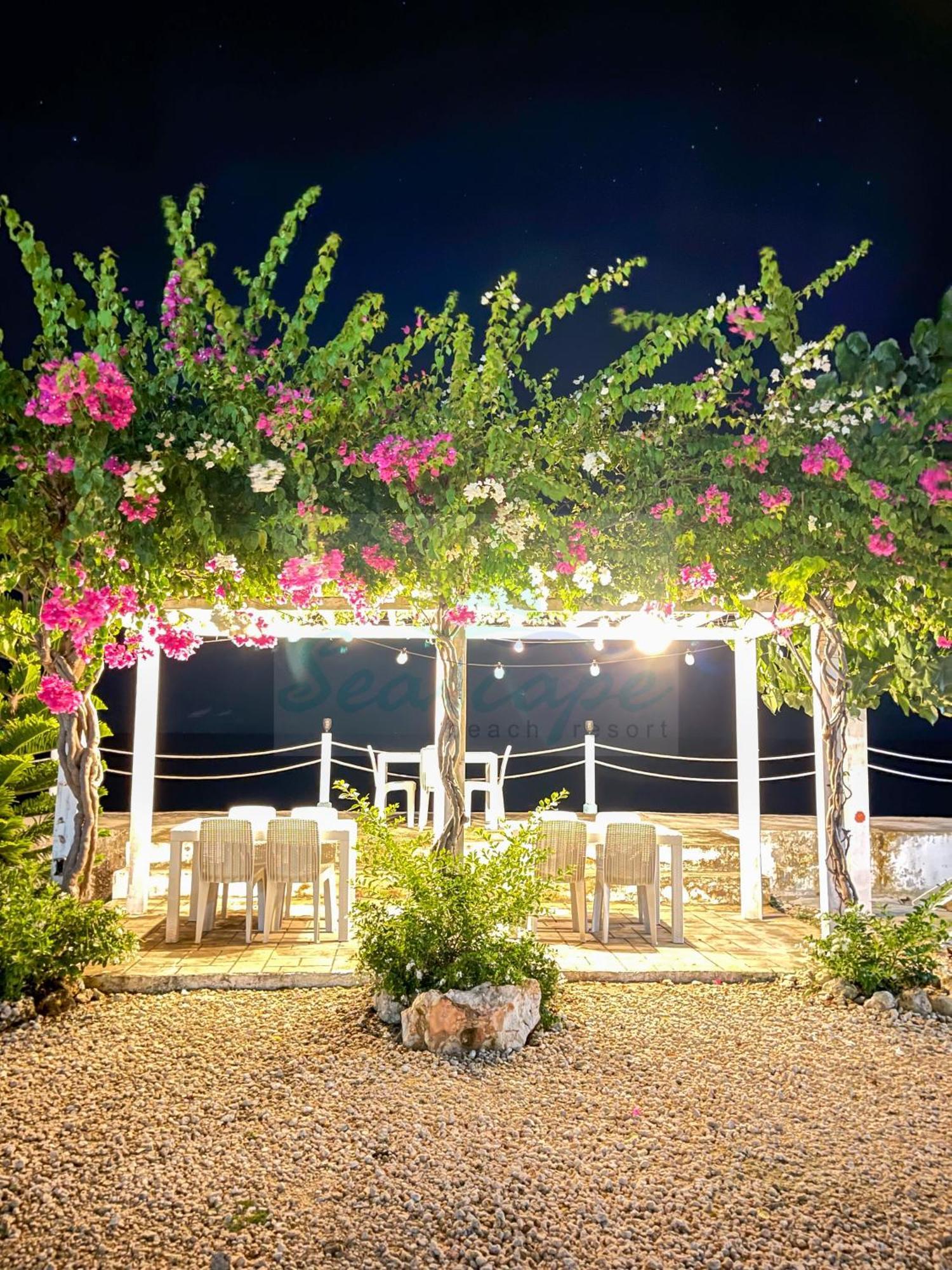 Seascape Beach Resort Oslob Exterior foto